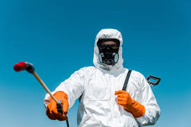 Lawn Pest Control in Gladwin, MI